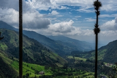 Cocora Valley, Colombia