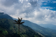 Cocora Valley, Colombia