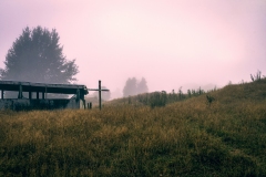 Foggy Morning, New Zealand