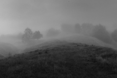 Foggy Morning, New Zealand