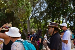 Waitangi Day 2020, New Zealand