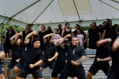 Waitangi Day 2020, New Zealand