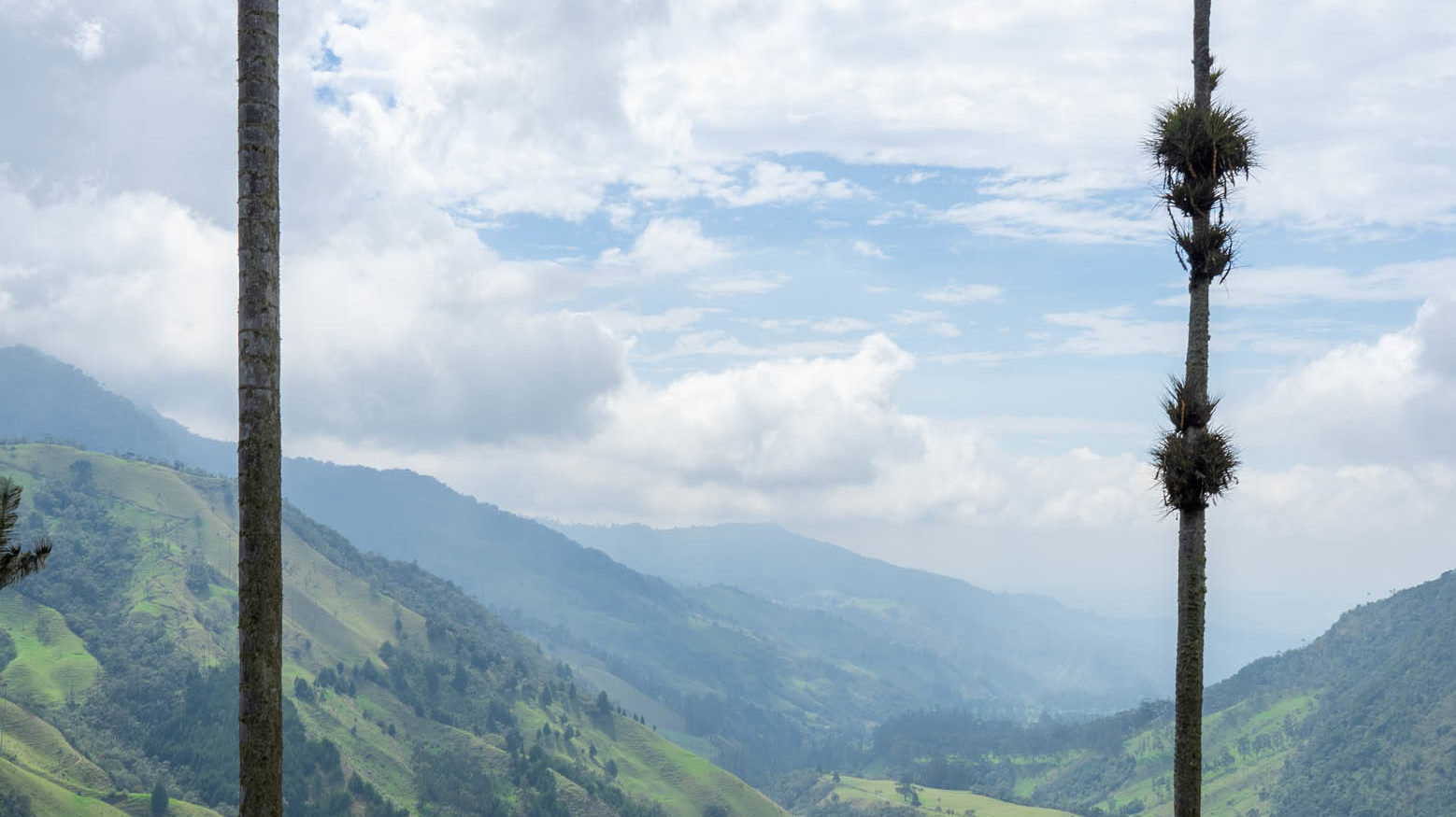 Colombia